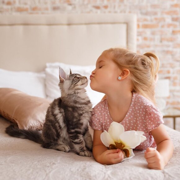 Cubic Zirconia Hypoallergenic Cute Cat Stud Earrings for Women Teens Girls - Picture 6 of 6